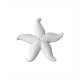 ref 728 ornement étoile de mer en plâtre pour mur ou mobilier