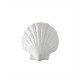 ref 730 Shell ornament in plaster for wall or furniture