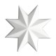 ref 79 star rosette in plaster