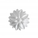 ref 305 rosette knob plaster