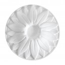 ref 316 rosette knob plaster