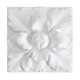 ref 317 rosette knob plaster