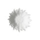 ref 245 plaster rosette