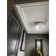 Moulure plate plafond pour cadre 356