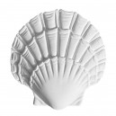 ref 730 Shell ornament in plaster for wall or furniture