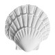 ref 730 ornement coquillage en plâtre pour mur ou mobilier